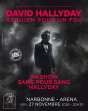 DAVID HALLYDAY
